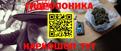 apvp Гатчина