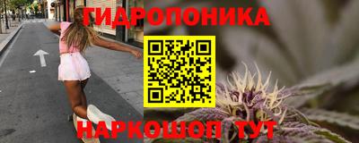 apvp Гатчина