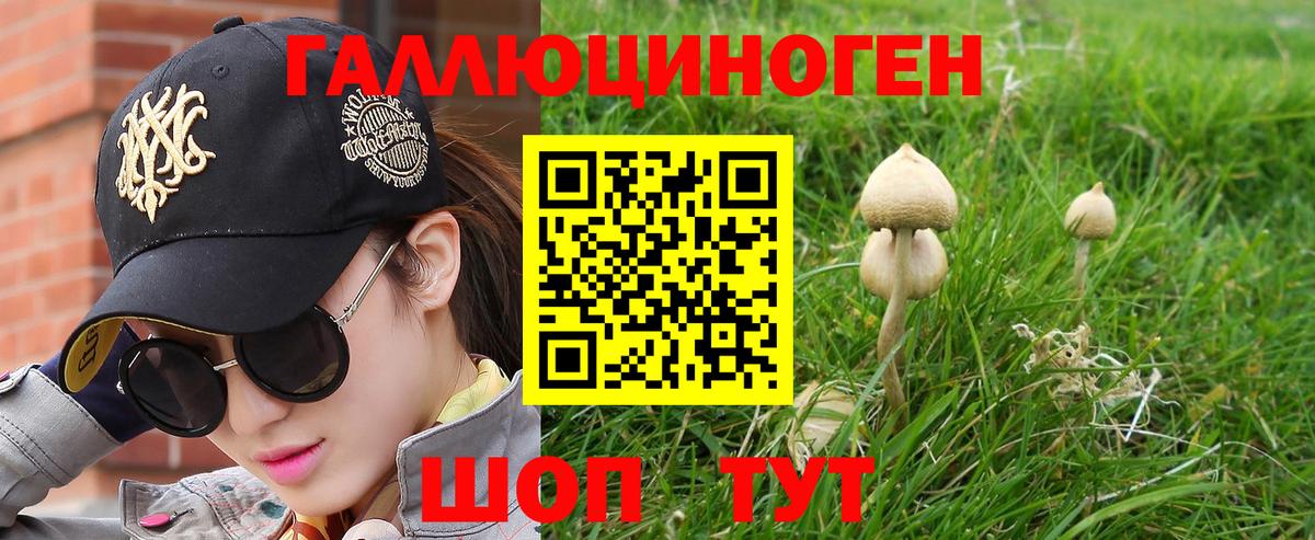 Псилоцибиновые грибы GOLDEN TEACHER  Псилоцибиновые грибы MAGIC MUSHROOMS  Евпатория  Вход с VPN 
