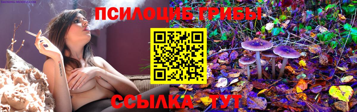Псилоцибиновые грибы Psilocybine cubensis Евпатория